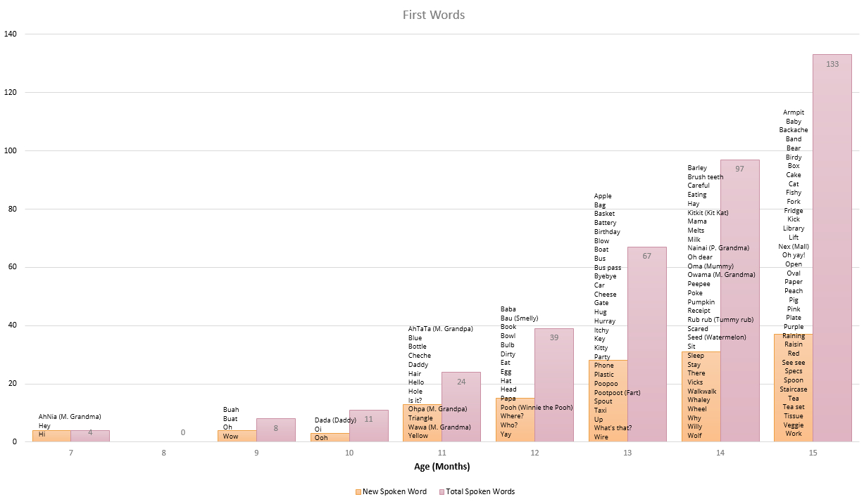 Baobao’s Language Development (baby’s first 100+ words before 1.5 years old)